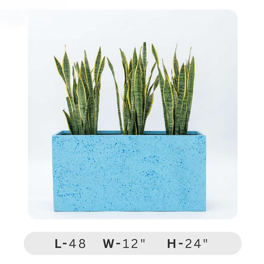 Planters Pots for Decors, Giftings | FRP Pots and Planets for Office Decors Blue rectangular planter with snake plants on a white background