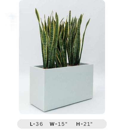 Planters Pots for Decors, Giftings | FRP Pots and Planets for Office Decors White rectangular planter with a snake plant on a light gray background