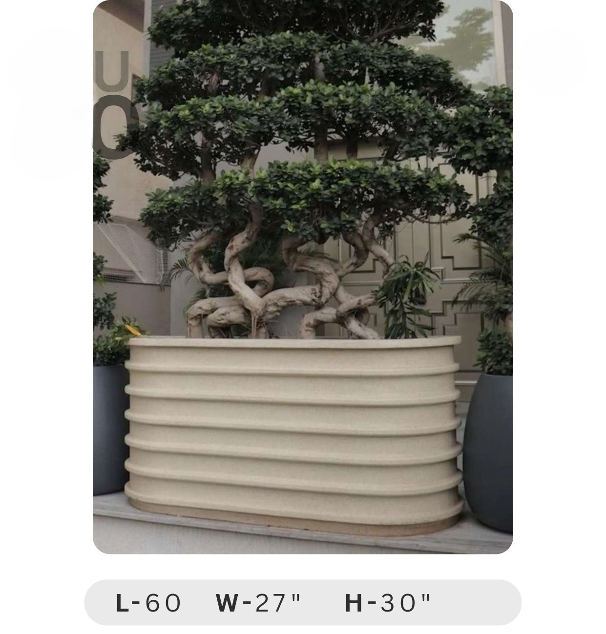 Planters Pots for Decors, Giftings | FRP Pots and Planets for Office Decors