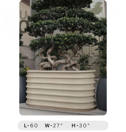 Planters Pots for Decors, Giftings | FRP Pots and Planets for Office Decors
