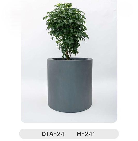 Planters Pots for Decors, Giftings | FRP Pots and Planets for Office Decors Gray cylindrical planter with a plant on a white background