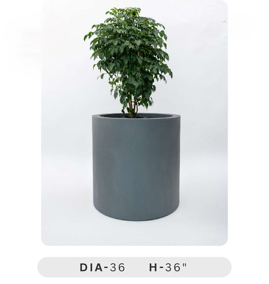 Planters Pots for Decors, Giftings | FRP Pots and Planets for Office Decors Gray cylindrical planter with a plant on a white background