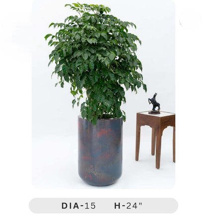 Planters Pots for Decors, Giftings | FRP Pots and Planets for Office Decors Potted plant with dimensions DIA-15 H-24" on a white background