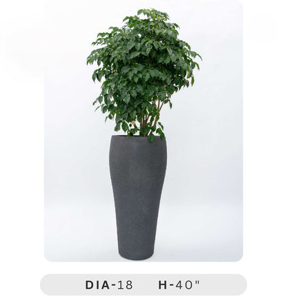 Planters Pots for Decors, Giftings | FRP Pots and Planets for Office Decors