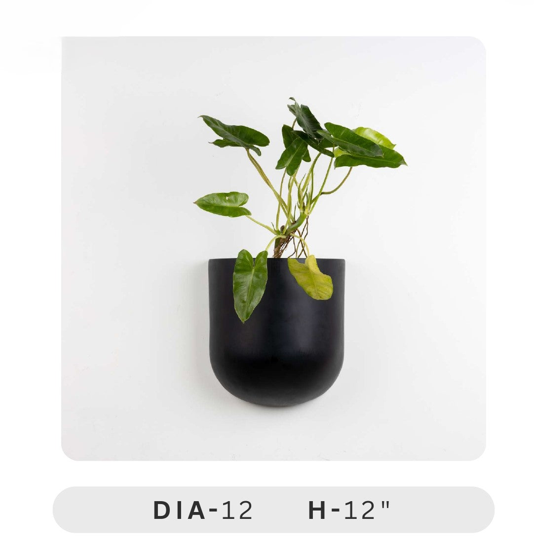 Planters Pots for Decors, Giftings | FRP Pots and Planets for Office Decors | Vertical Wall Planters Black wall-mounted planter with a plant on a white background