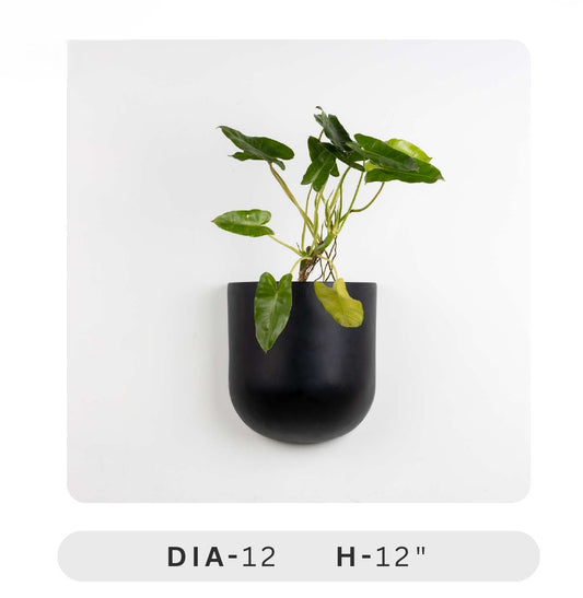 Planters Pots for Decors, Giftings | FRP Pots and Planets for Office Decors | Vertical Wall Planters Black wall-mounted planter with a plant on a white background