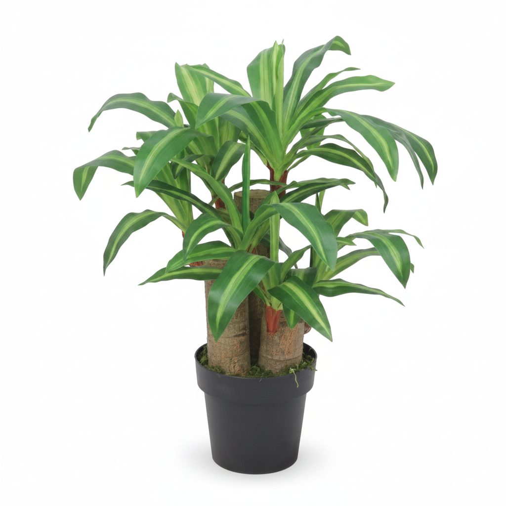Premium Artificial Dracaena Indoor Decorative Plant for Home Office Hotel Reception Décor