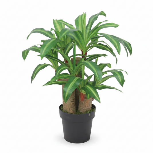 Premium Artificial Dracaena Indoor Decorative Plant for Home Office Hotel Reception Décor