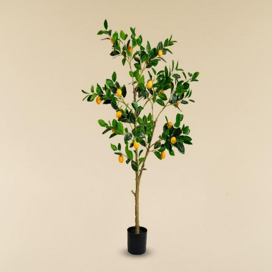 Premium Artificial Lemon Tree with Realistic Yellow Fruits for Home Office Café Hotel Décor