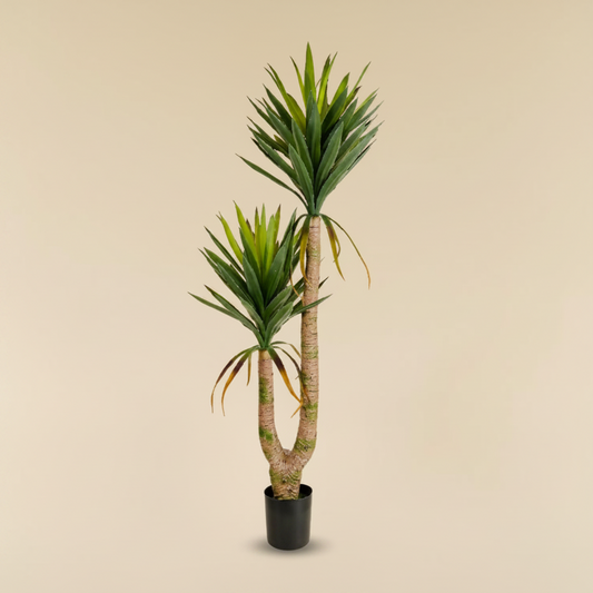 Premium Artificial Spineless Yucca Indoor Decorative Plant for Home Office Hotel Décor