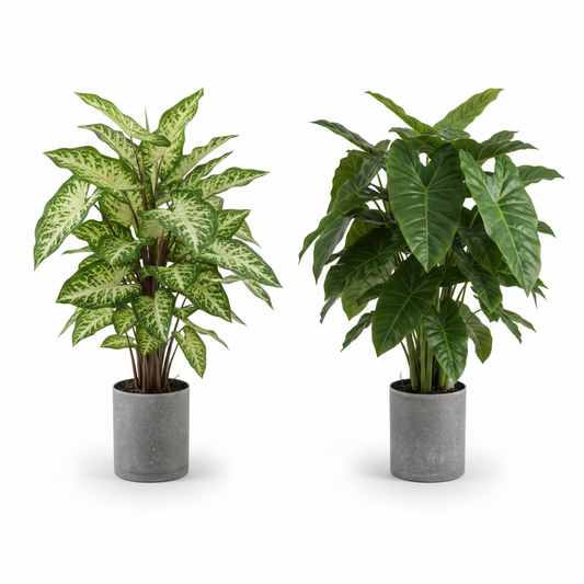 Premium Artificial Dieffenbachia & Pothos Indoor Decorative Plant for Home Office Décor