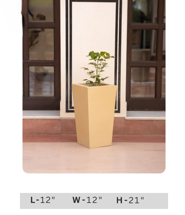 Decorative Green Leaf Indoor Plant in Modern Charcoal Planter Pot for Home & Office Decor