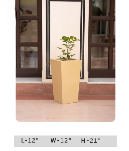 Decorative Green Leaf Indoor Plant in Modern Charcoal Planter Pot for Home & Office Decor