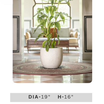 White Textured Round Planter with Green Indoor Plant for Modern Home & Office Decor