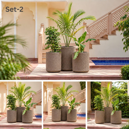 Three-piece beige grey planter set with fine vertical textured finish and ornamental green plants for living room, patio and home décor