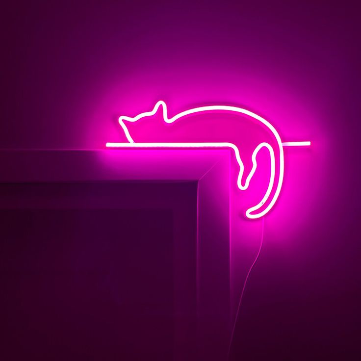 Slipping Cat Hand Neon Sign | Custom Neon Sign | Neon for Living Room Decor Neon pink outline of a cat on a dark purple background