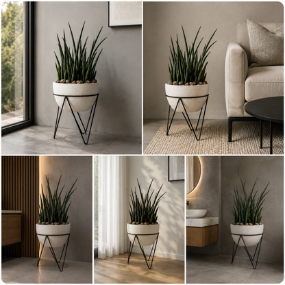 Decorative succulent planter stand for minimalist home interiors