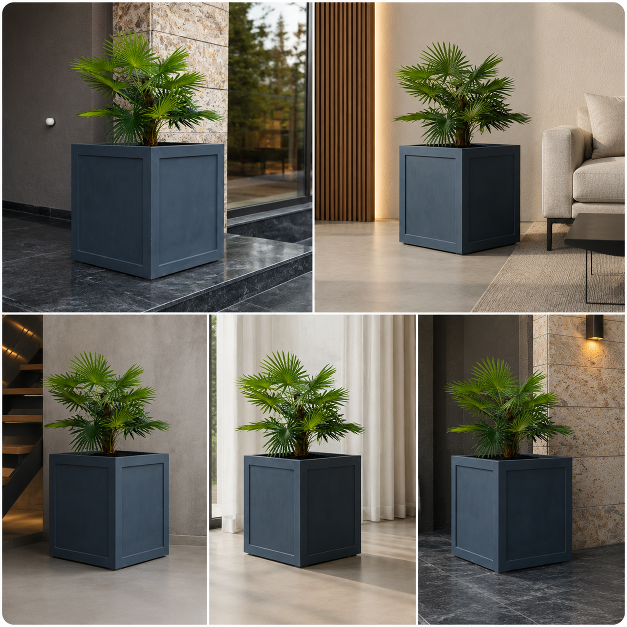Large tropical palm planter box for modern entrance styling