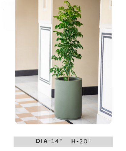 Decorative indoor green foliage in a minimalist sage green round planter for luxury home, office and balcony decoration