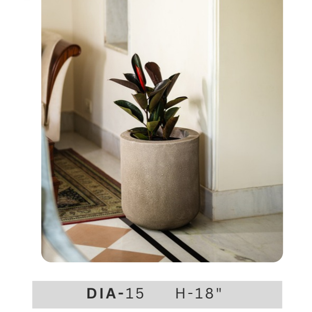 Green decorative indoor plant in textured grey cylindrical pot for entrance, bedroom and contemporary interior styling