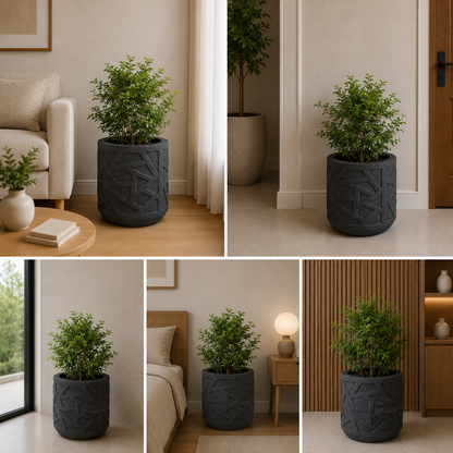 Large luxury planter with green indoor plant for living room styling
