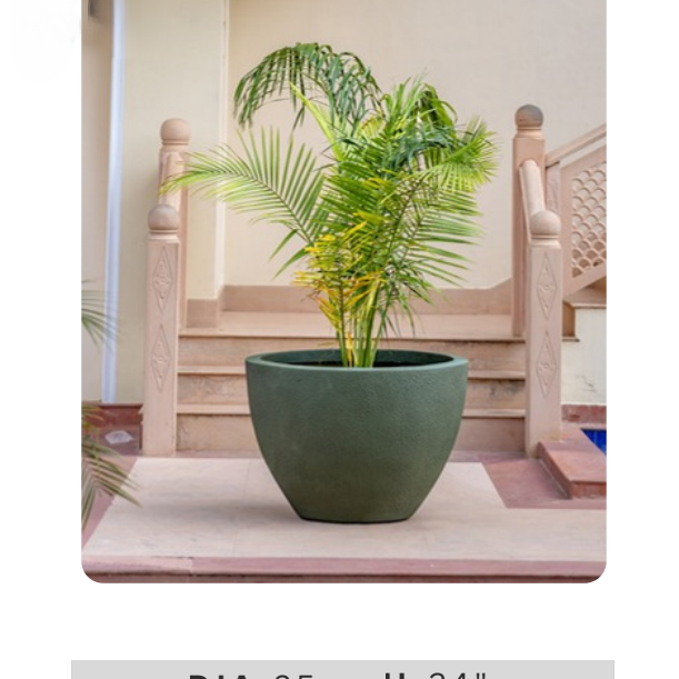 Decorative green planter with lush palm foliage for living room, patio and entrance decor