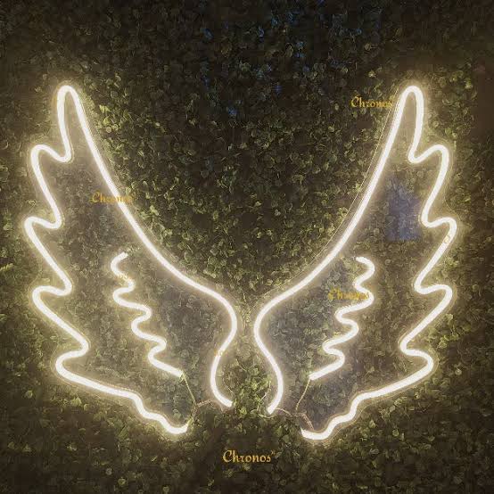 Led Neon Light Sign Wings Design | (36 by 36 Inches)