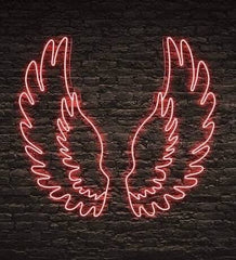 Wings Neon Light Sign Feathers Decors | Custom Neon Sign | (40 by 40 Inches)