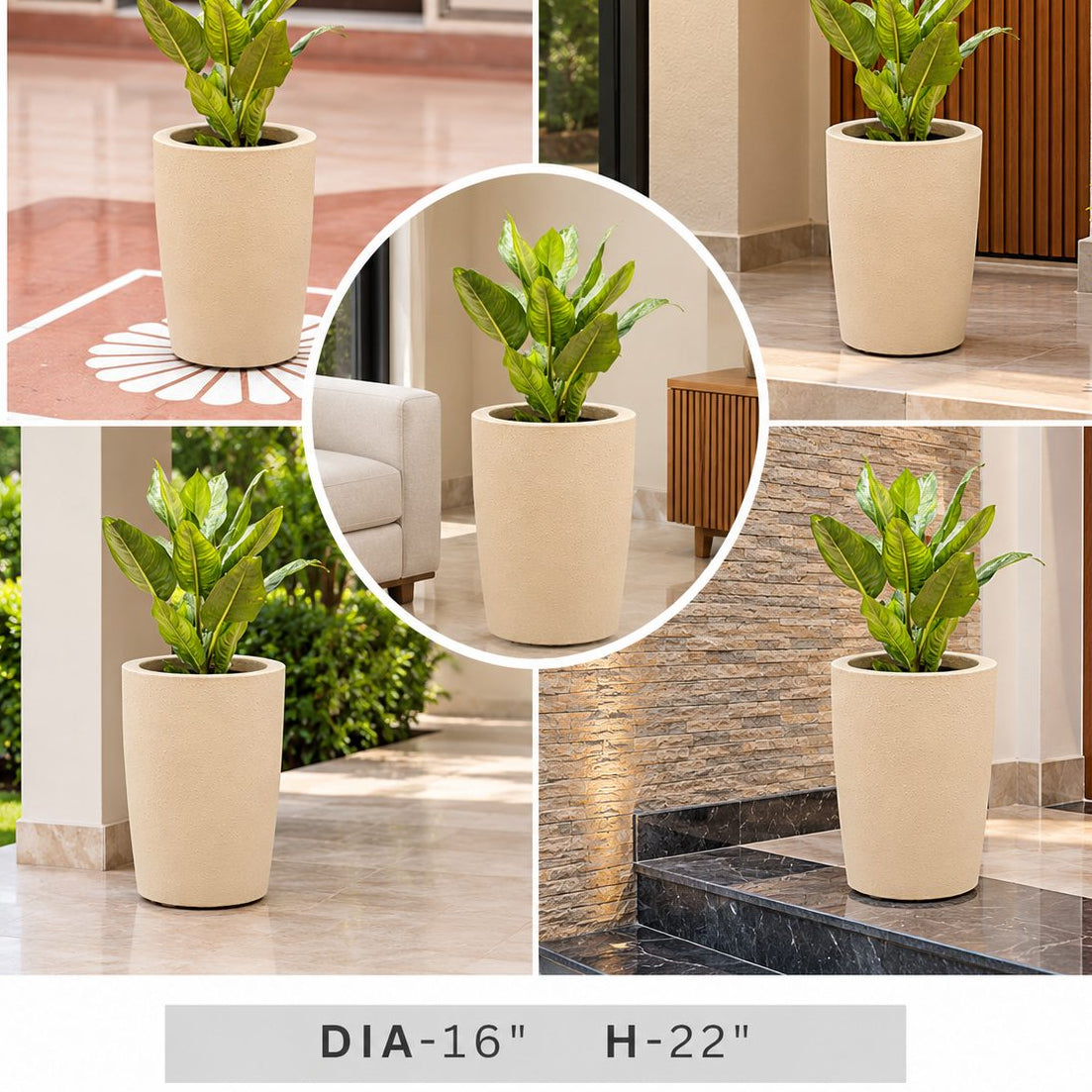 Tall Cream Round Planter with Green Indoor Plant for Modern Home & Office Decor