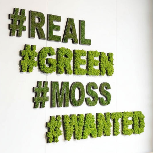 artificial moss hashtag wall sign real green moss wanted lettering for office wall decor