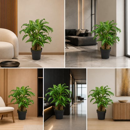 Real Touch Artificial Dracaena Plant 3 Ft with Decorative Pot for Modern Indoor Interiors