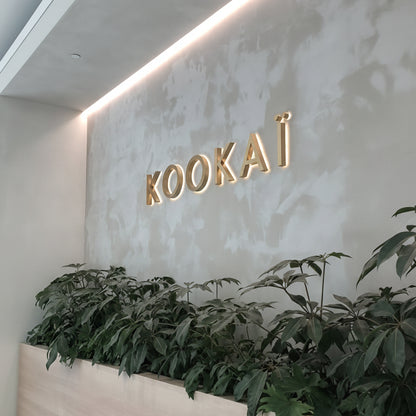 KOOKAI acrylic LED letter sign backlit wall logo signage for office reception interior
