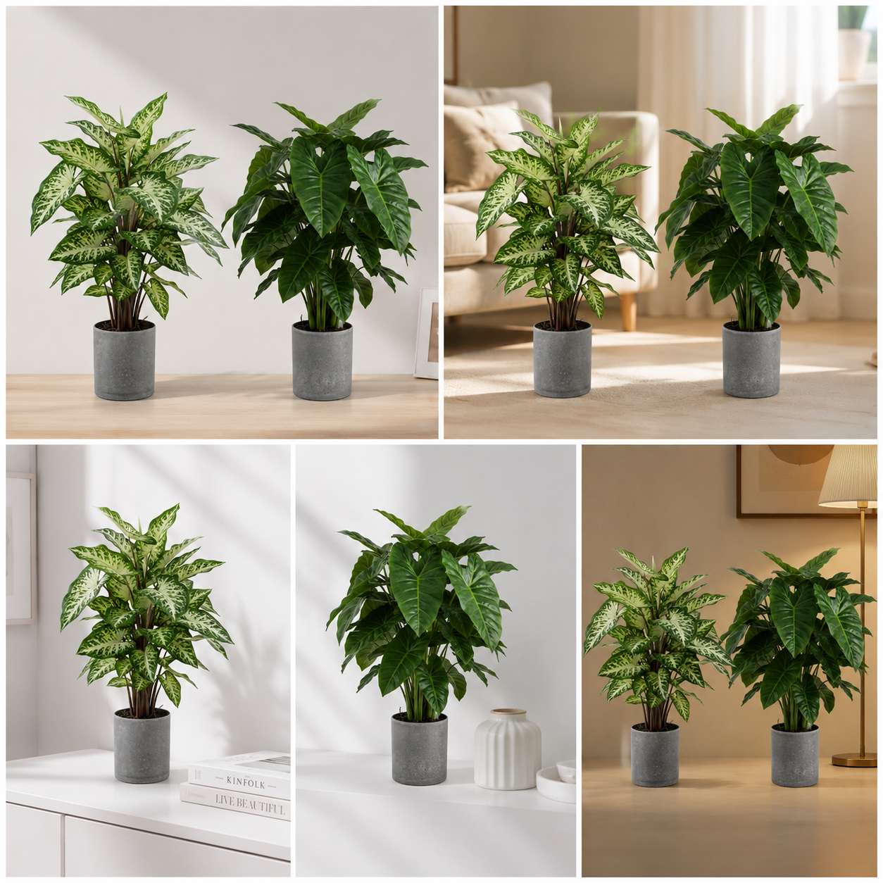 Real Touch Dieffenbachia & Pothos Artificial 1.5 Ft Plant with Decorative Pot for Interiors