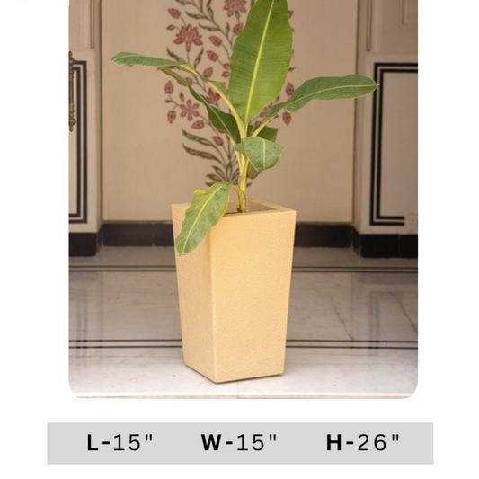Tall green indoor plant arrangement in beige square planter for luxury home, office and contemporary interior decoration