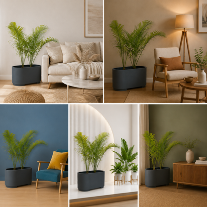 Planters Pots for Decors, Giftings | FRP Pots and Planets for Office Decors