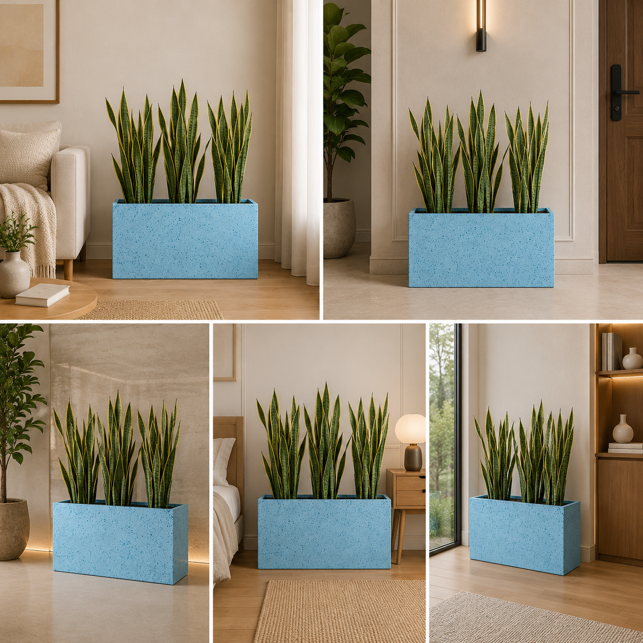 Modern Snake Plant Planter Box for Luxury Indoor Decor