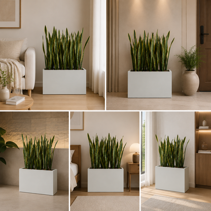 Modern Snake Plant Planter for Luxury Indoor Home Decor