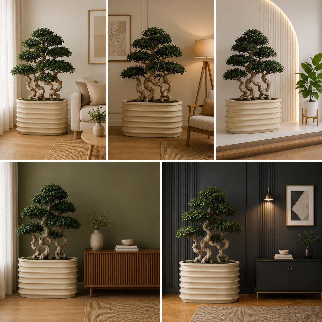 Luxury Bonsai Tree Planter for Modern Indoor & Outdoor Decor