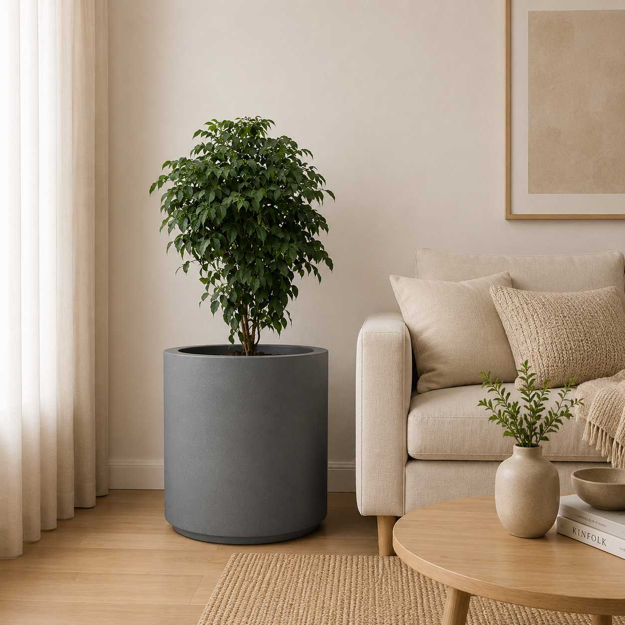 Luxury Indoor Ficus Plant in Modern Cylindrical Planter